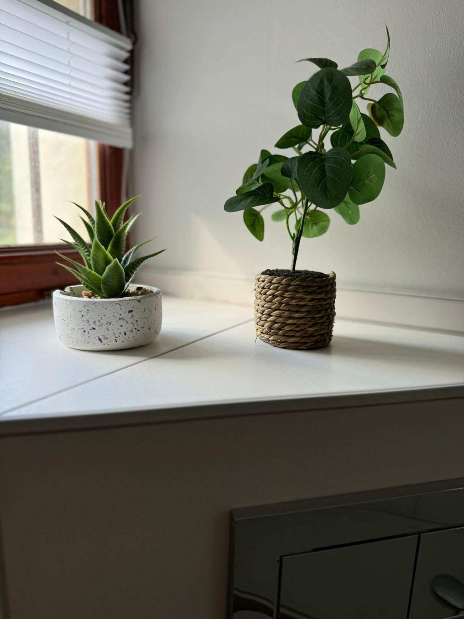 Ferienwohnung Neue Quickbox Thale Eksteriør bilde